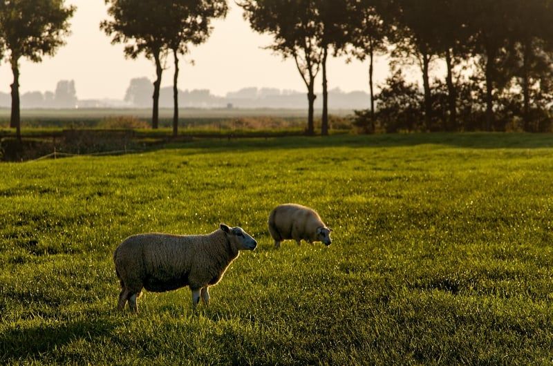 Refroidissement adiabatique : quel est son principal inconvénient en 2026 ?
