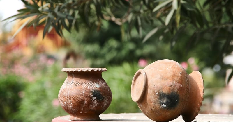 10 techniques innovantes pour jardin qui vont tout changer