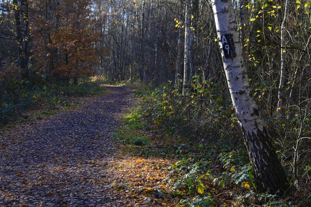 Chasse au trésor : trouver les bons matériaux