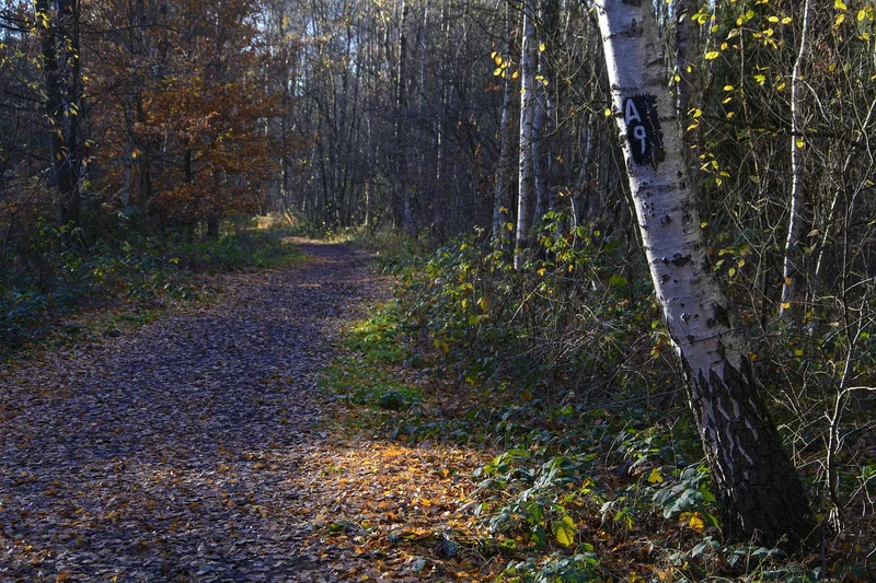 Chasse au trésor : trouver les bons matériaux