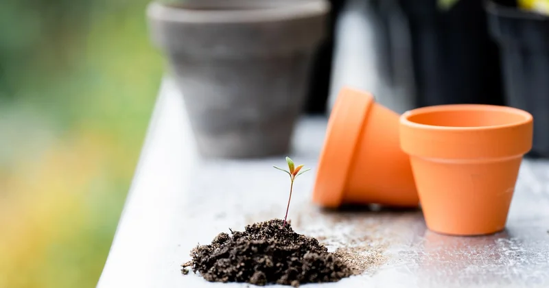 Les innovations low-tech qui méritent votre attention