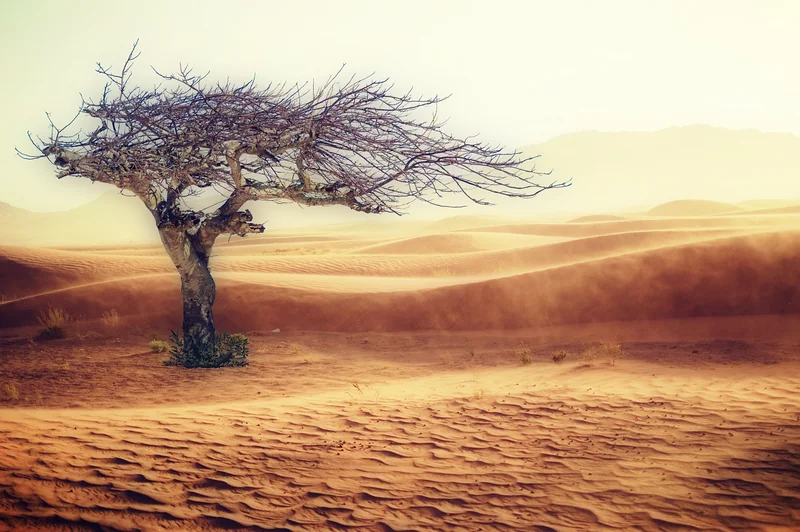 Inconvénient n°2 : une efficacité limitée par le climat