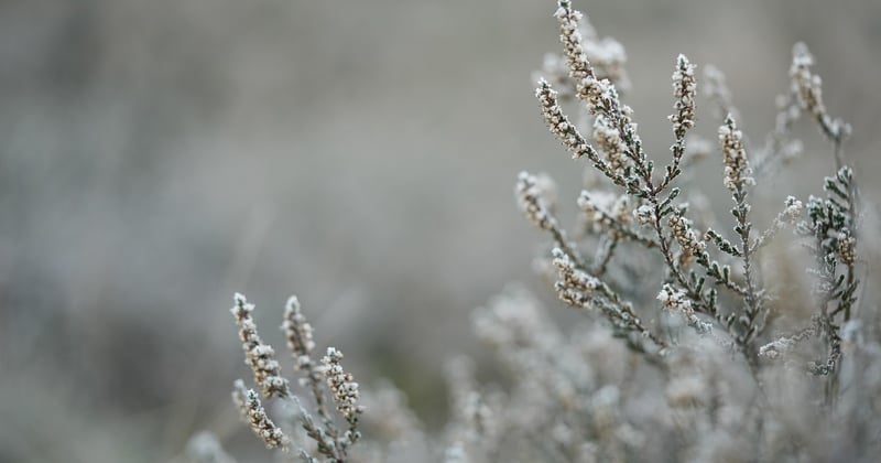 Découvrez le chauffage verrier : l'innovation pour un habitat économe et écologique