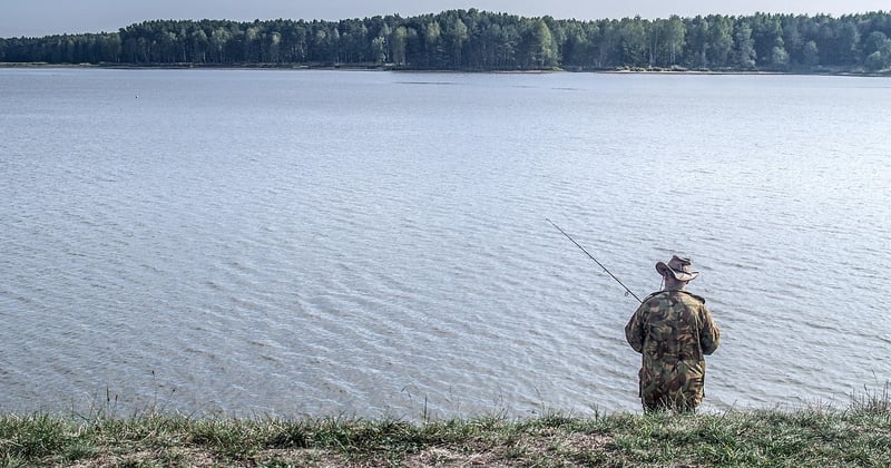 Camouflage piscine tubulaire : 7 astuces pour la dissimuler avec style